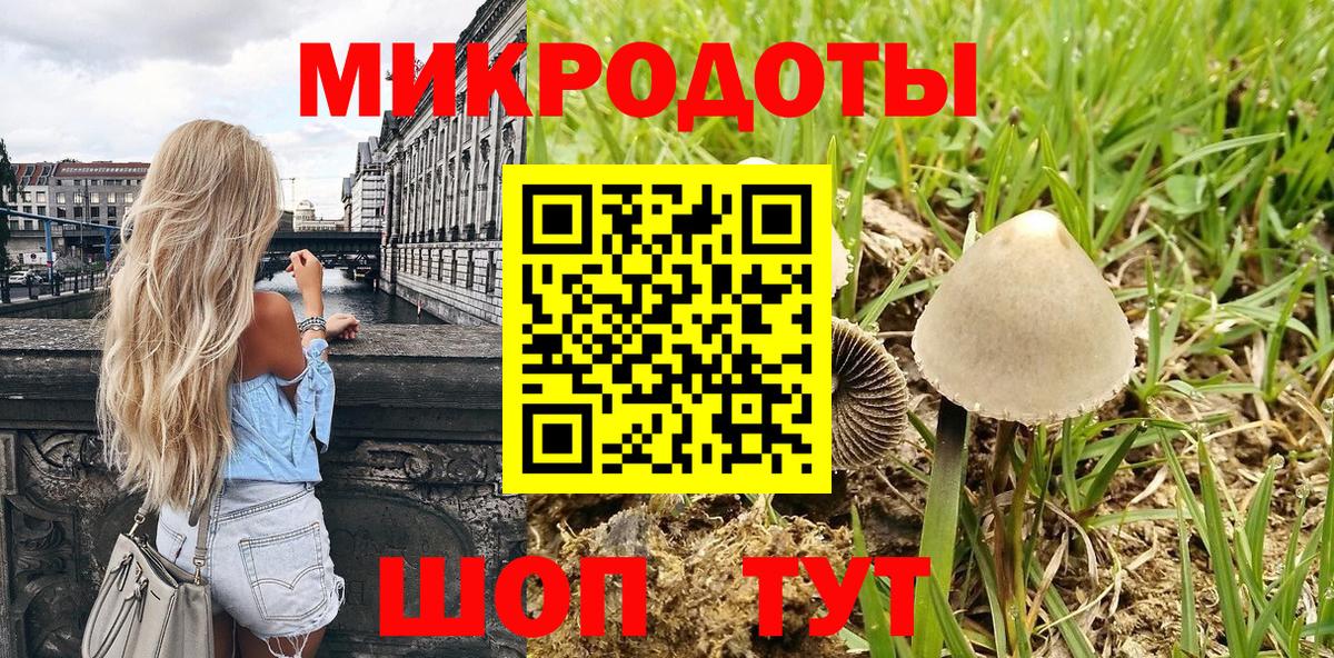 Псилоцибиновые грибы прущие грибы Кохма