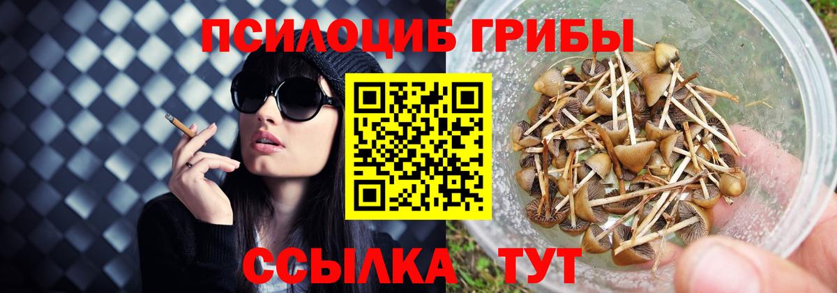 Галлюциногенные грибы Psilocybe  Галлюциногенные грибы MAGIC MUSHROOMS  Кохма  Вход с VPN 